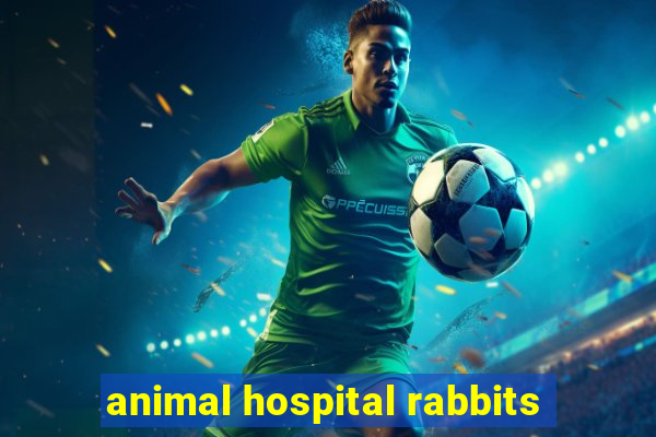 animal hospital rabbits